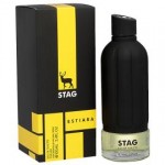 ARM STAG By Armaf For Men - 3.4 EDT Spray 