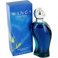 WINGS  By Giorgio Beverly Hills For Men - 3.4 EDT SPRAY
